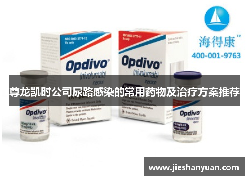 尊龙凯时公司尿路感染的常用药物及治疗方案推荐