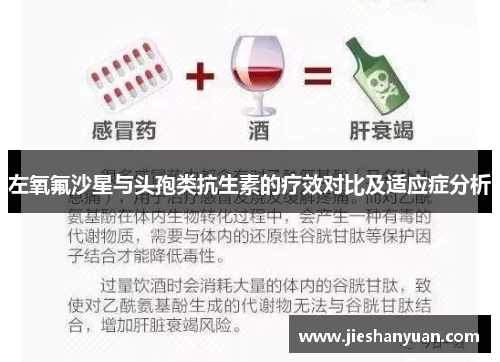 左氧氟沙星与头孢类抗生素的疗效对比及适应症分析